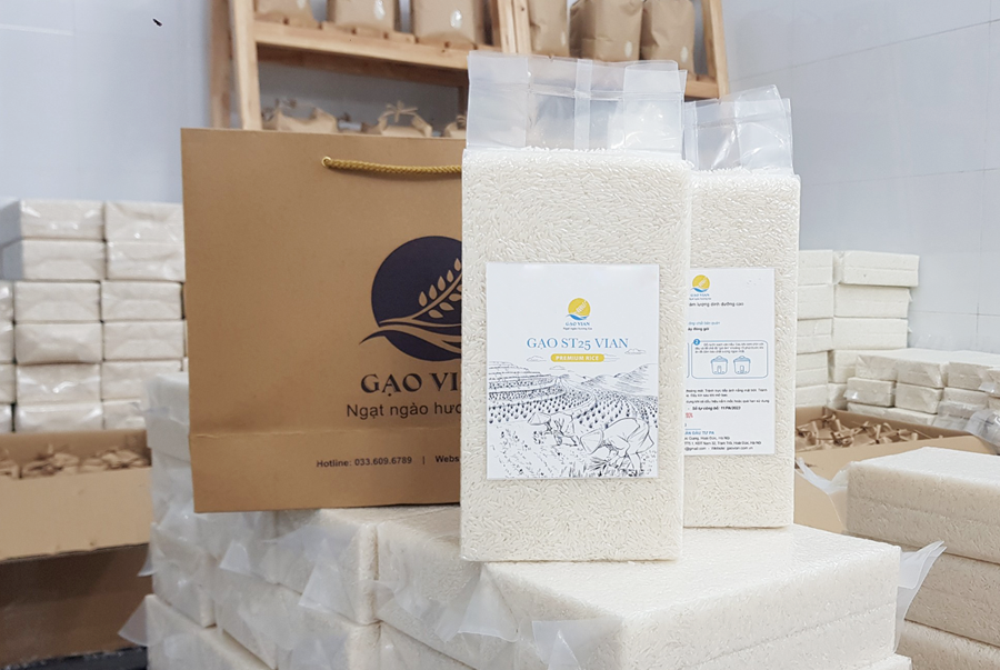 GẠO ST25 VIAN - Túi hút chân không 1kg